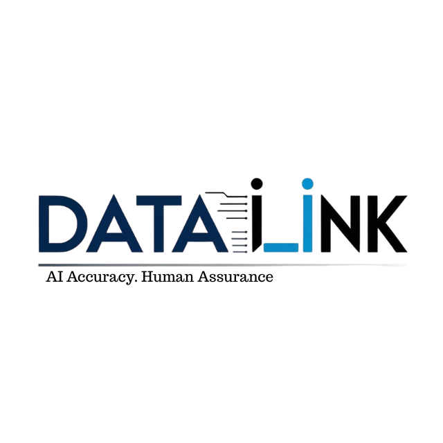 DATAILINK Tech Company Logo (Classic Modern) (4)